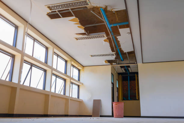 Best Basement water damage restoration  in Silver Hill, MD