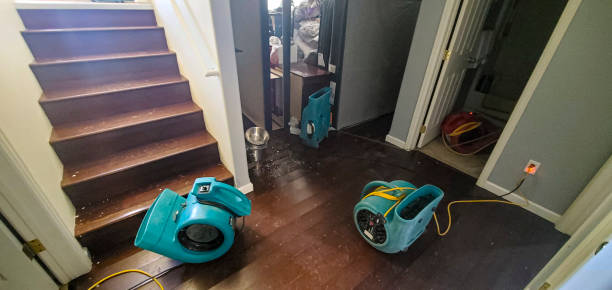 Best Emergency water damage restoration  in Silver Hill, MD