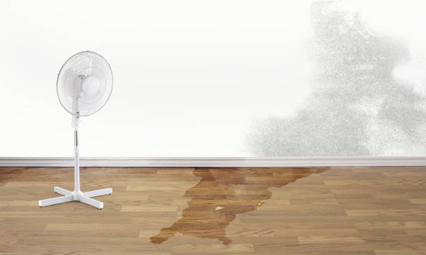Best Flood restoration services  in Silver Hill, MD